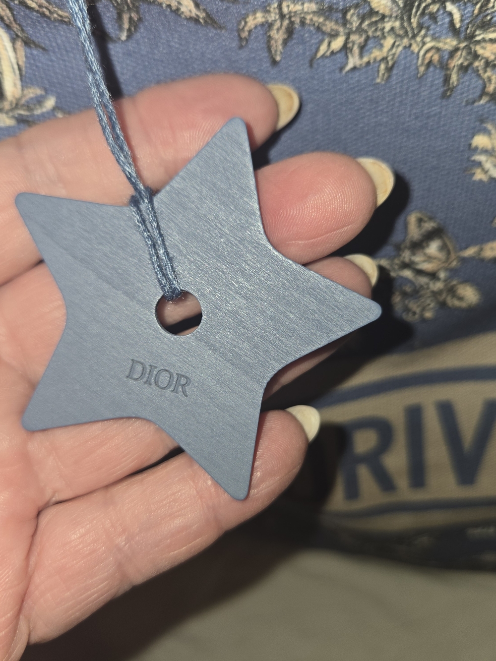 Dior RivierA Blue Floral Canvas Tote Bag - Picture 3 of 9